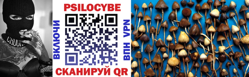 Псилоцибиновые грибы мицелий  что такое наркотик  Нижние Серги 
